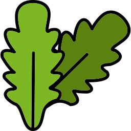 arugula icon