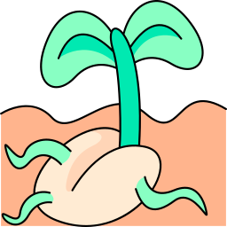 Seedling icon