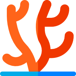 Coral icon