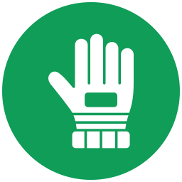 Glove icon