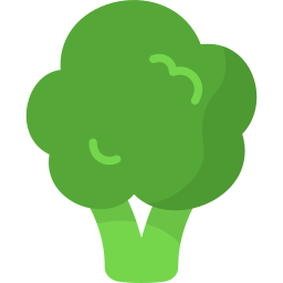 brócoli icono