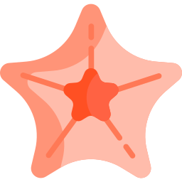 Starfish icon