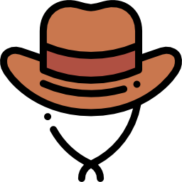 Cowboy hat icon