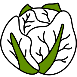 Cabbage  icon