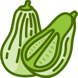 Butternut squash icon