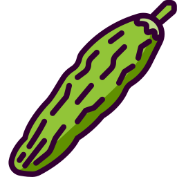 Bitter gourd icon