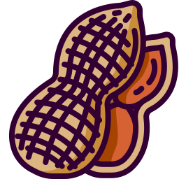 Peanut icon