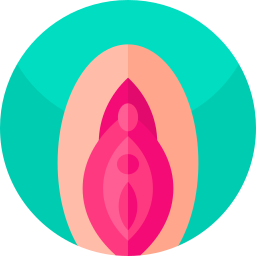vagina Ícone