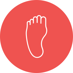 Foot icon