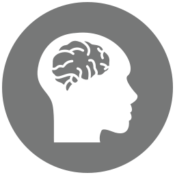 인간의 뇌 icon