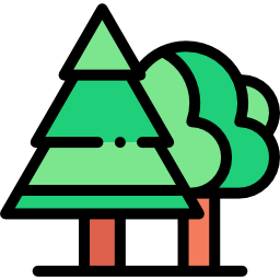 Pine icon