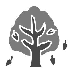 albero d'autunno icona