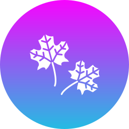 Maple leaf icon