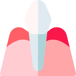 Gingival epithelium icon