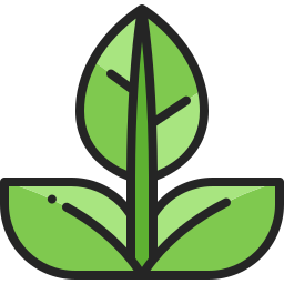 Leaf icon