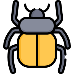 Beetle icon