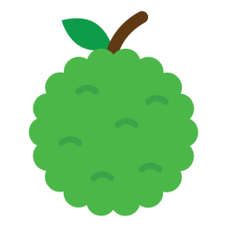 커스터드 사과 icon