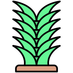 yucca icoon