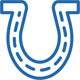 Horseshoe  icon