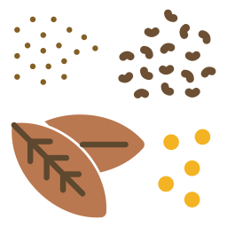 Spices icon