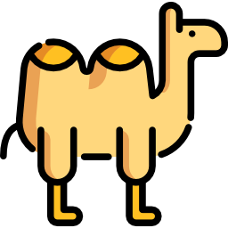 cammello icona