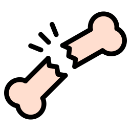 fracture Icône