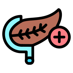 Pancreas icon