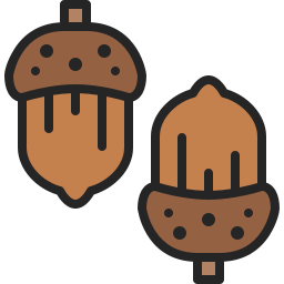 Acorn icon