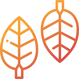 Leaf icon