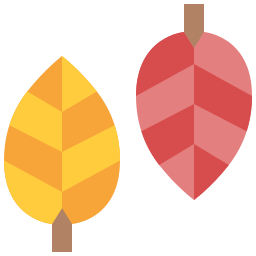 Leaf icon