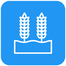 Wheat grain icon