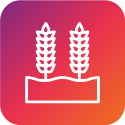 Зерна пшеницы иконка