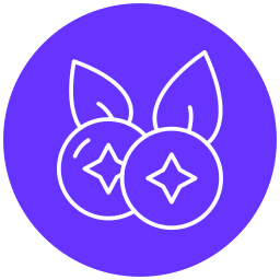 Berries icon