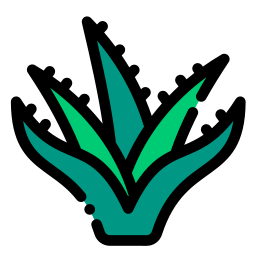 aloe vera icon