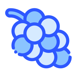 Grape icon