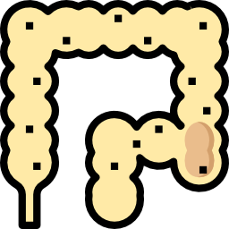 Colon icon