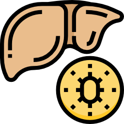 Hepatitis icon