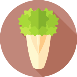 Curly endive icon