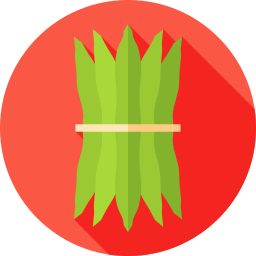 サヤインゲン icon