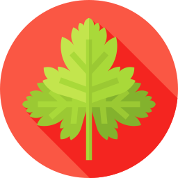 Parsley icon