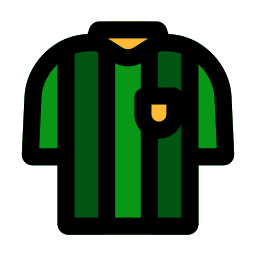 jersey de árbitro icono