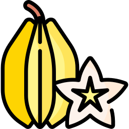 Starfruit icon