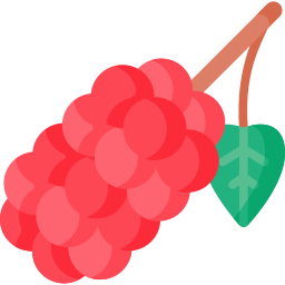 Mulberry icon