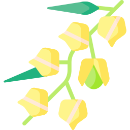 황금 열매 icon