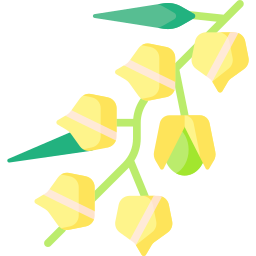 Golden berries icon