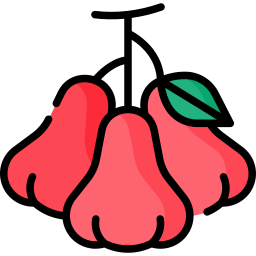 Water apple icon