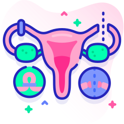 contraceptive methods icono