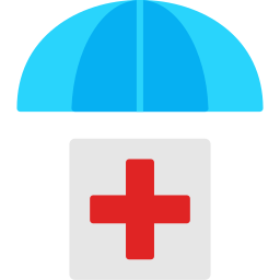assurance santé Icône