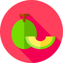 Melon icon