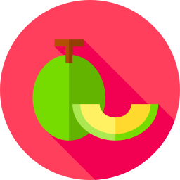 melón icono